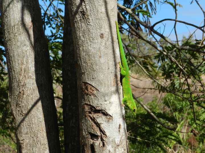 Il nostro indimenticabile viaggio in Madagascar - le foto