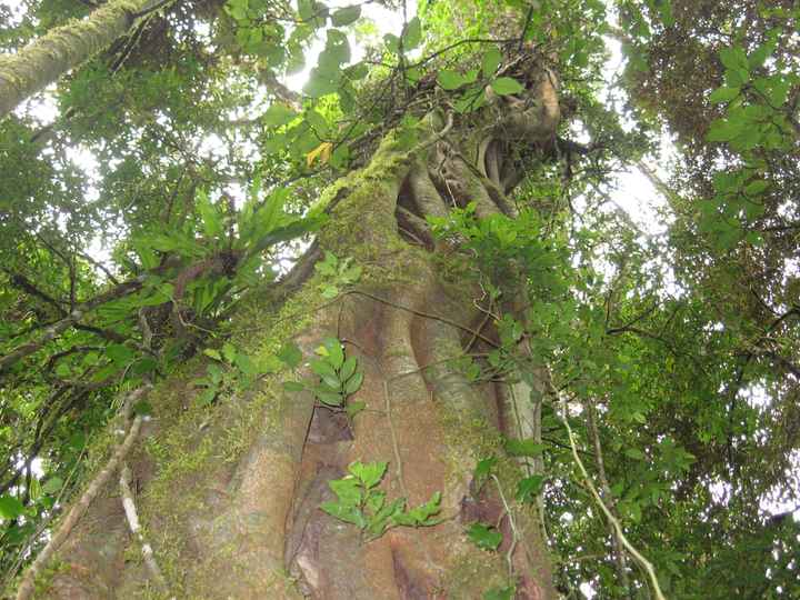 Il nostro indimenticabile viaggio in Madagascar - le foto