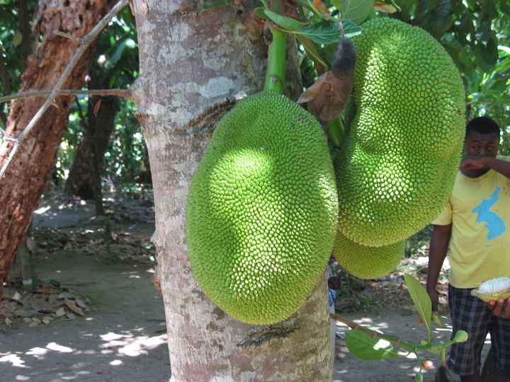 Il nostro indimenticabile viaggio in Madagascar - le foto