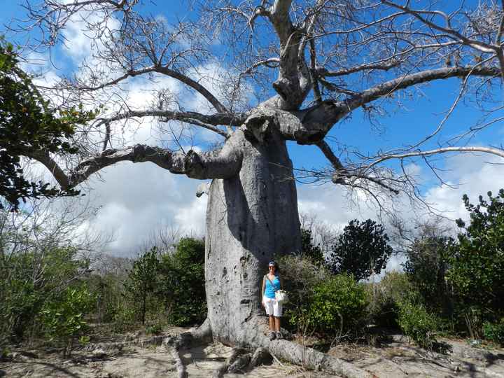 Il nostro indimenticabile viaggio in Madagascar - le foto