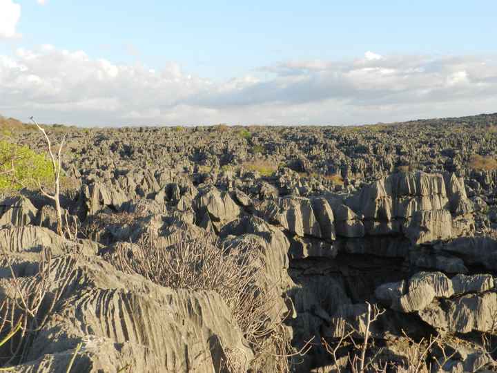 Il nostro indimenticabile viaggio in Madagascar - le foto