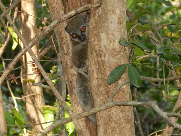 Il nostro indimenticabile viaggio in Madagascar