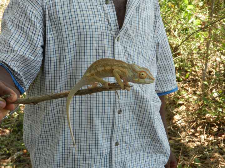 Il nostro indimenticabile viaggio in Madagascar - le foto