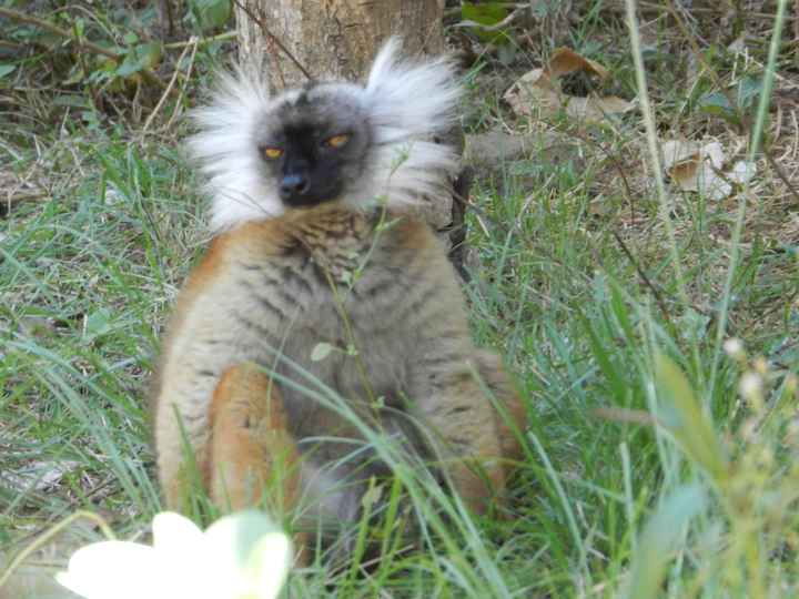 Il nostro indimenticabile viaggio in Madagascar - le foto