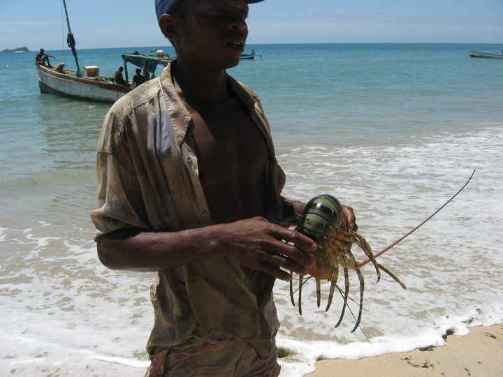 Il nostro indimenticabile viaggio in Madagascar - le foto