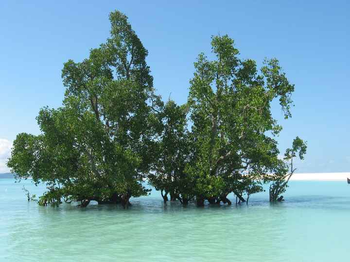 Il nostro indimenticabile viaggio in Madagascar - le foto
