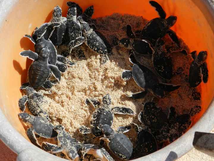 Il nostro indimenticabile viaggio in Madagascar - le foto