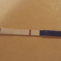 a chi spera che dicembre sia il mese giusto - 1