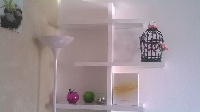 Finalmente finita la mia gabbietta decorativa