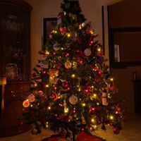 Avete mai fatto l'albero insieme? - 1