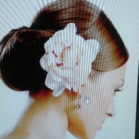 Acconciatura per le nozze tradizionale o innovativa? - 1