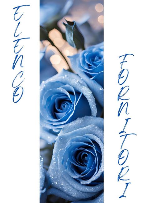 Cosa ho potuto dimenticare? - 6