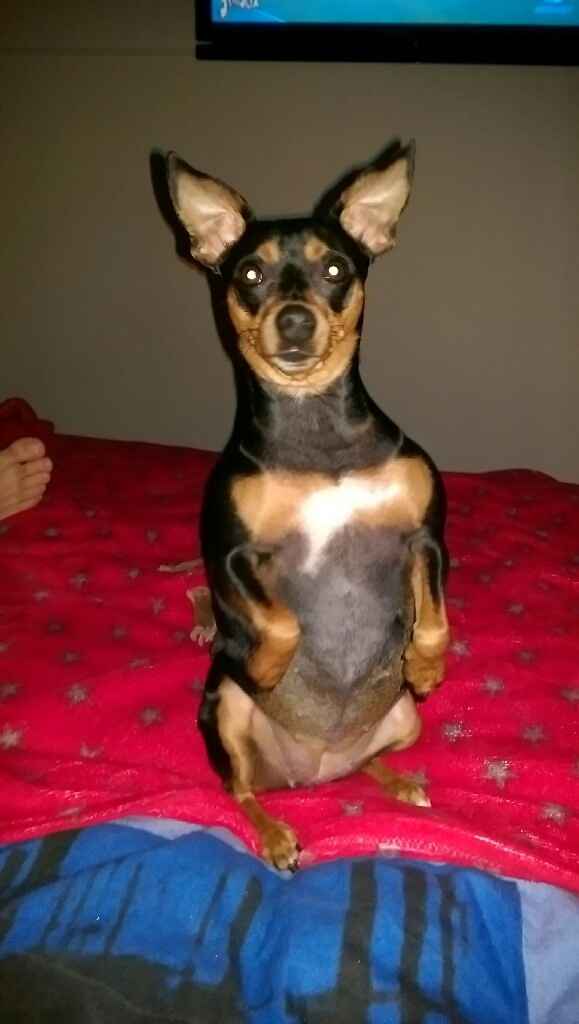 Se non ci fossero loro... - 2