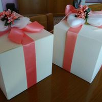 Le paranoie di una sposa.. 😱 Disguido colore - 2