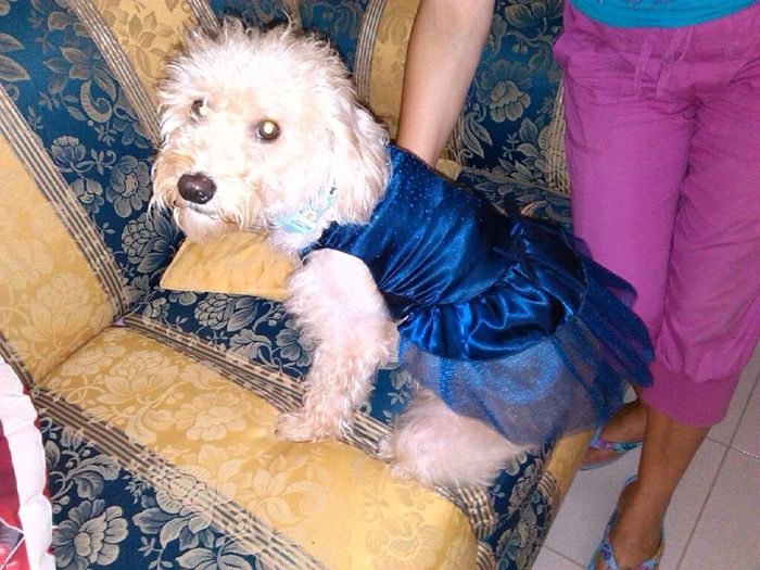 Prova abito per chicca! - 2