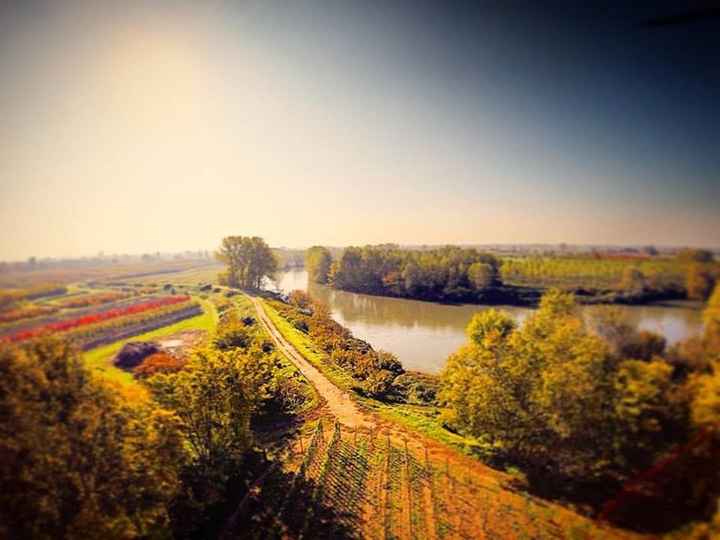 Questi sono i suoi vivai, accanto al fiume Oglio