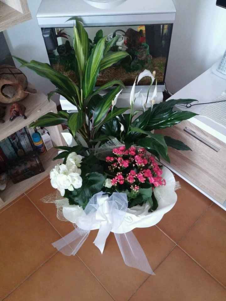 Potrei aprire un garden... - 2