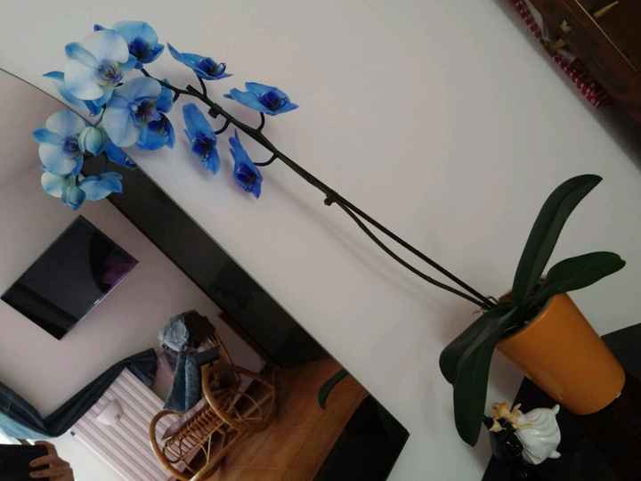 Potrei aprire un garden... - 3