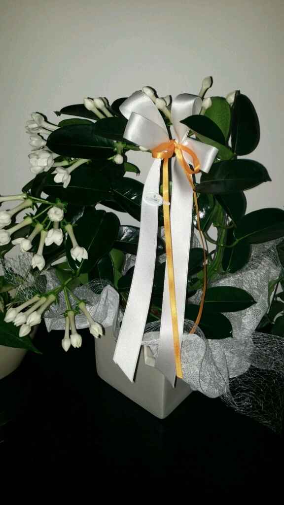 Potrei aprire un garden... - 4