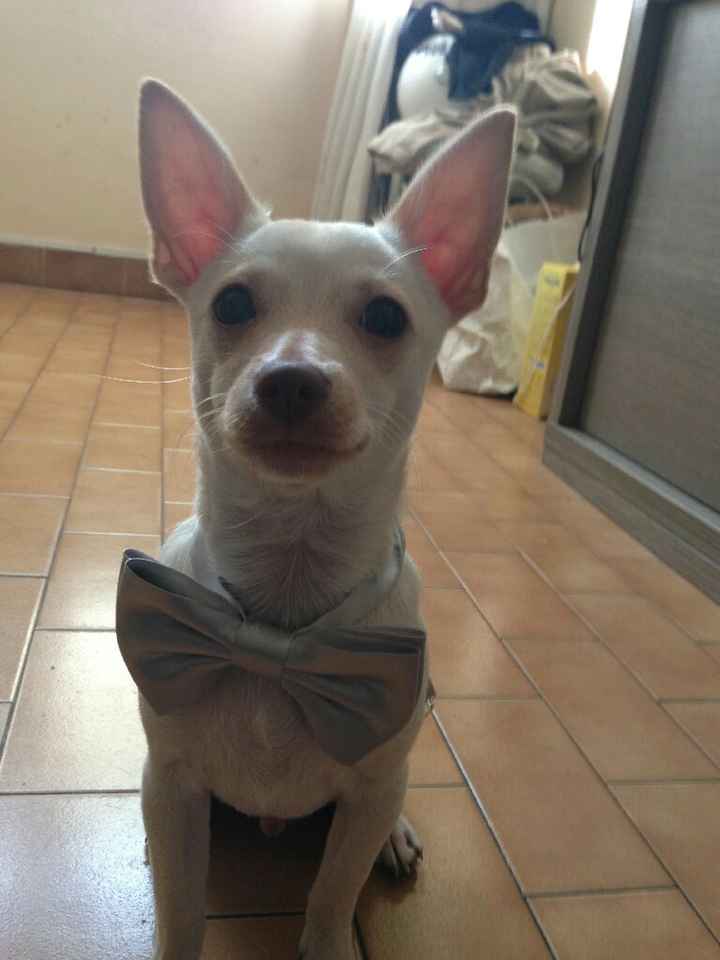 Foto con pelosetti - 1