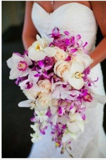 Conflitto di colori... - 6