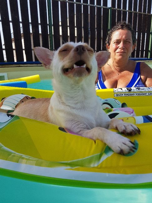 I nostri animali ♥️ - 1