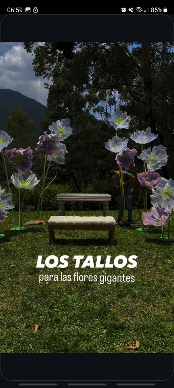 Fiori matrimonio - 1