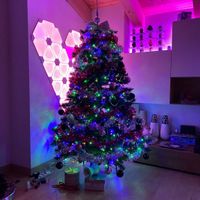 Avete mai fatto l'albero insieme? - 1