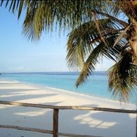 Viaggio di Nozze - 1