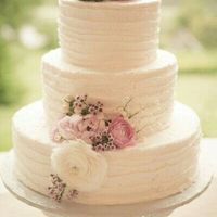 Come vorrei la torta...