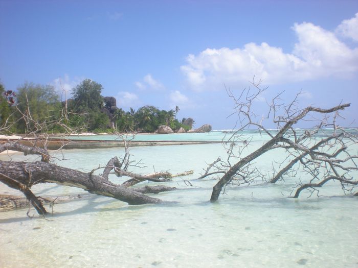 la source d'argent, che dire?