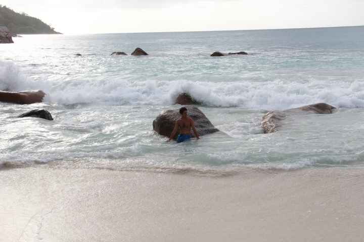 un sirenetto spiaggiato