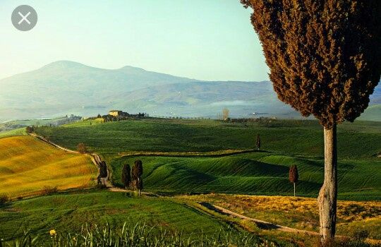 Quale sarà la vostra location? - 1