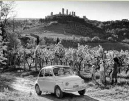  Un matrimonio...all'aperto! - 6