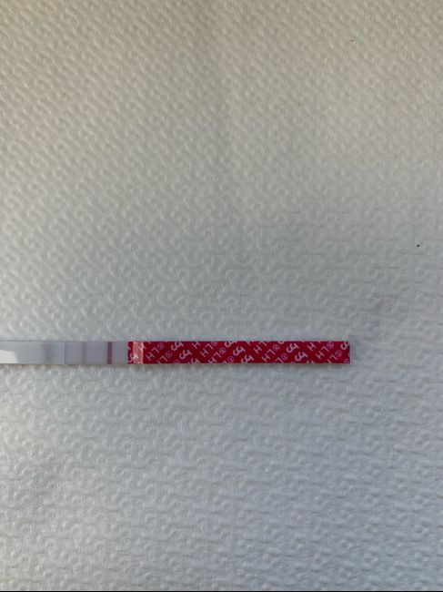 Per chi non le aspetta per febbraio 2020 - 1