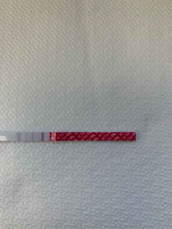 Per chi non le aspetta per febbraio 2020 - 1