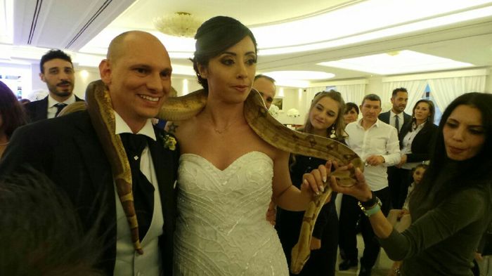  Matrimonio fantastico - 2