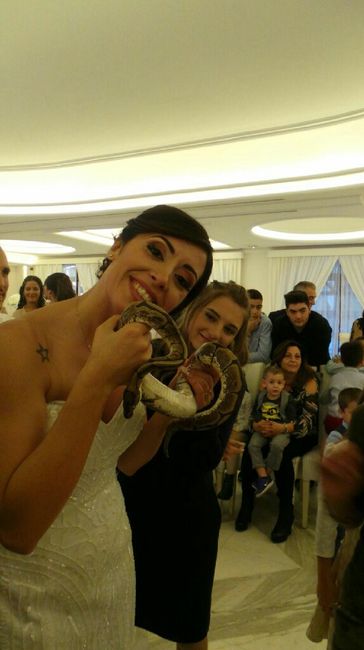  Matrimonio fantastico - 2