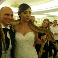  Matrimonio fantastico - 2