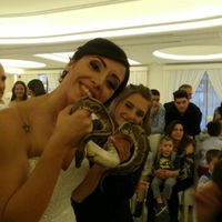  Matrimonio fantastico - 2