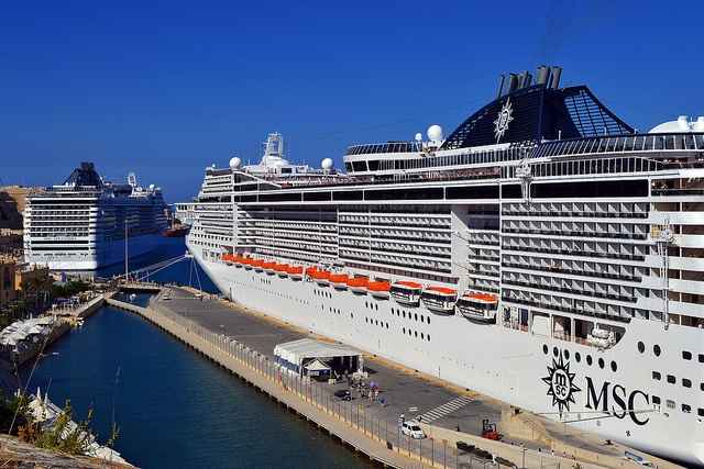 msc divina