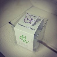 scatola plastica fortificata