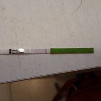 Ovulazione test canadesi - 2