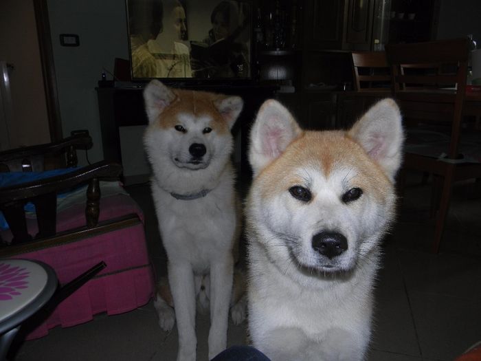Kuma e Yuna