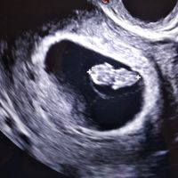 Future Mamme Ottobre 2021 - 1