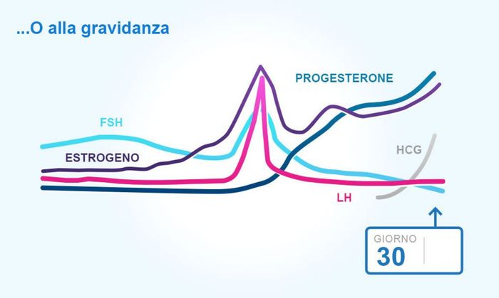 Chi non le aspetta per Settembre 2022 🍀🌈❤️ - 1