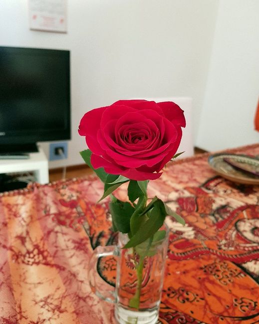 Ultimo San Valentino da fidanzati ❤ 2