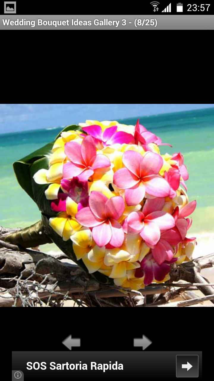 Voi che fiori state scegliendo??!  - 1