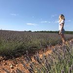 Rossella