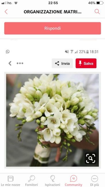 Crisi colore e bouquet - 1